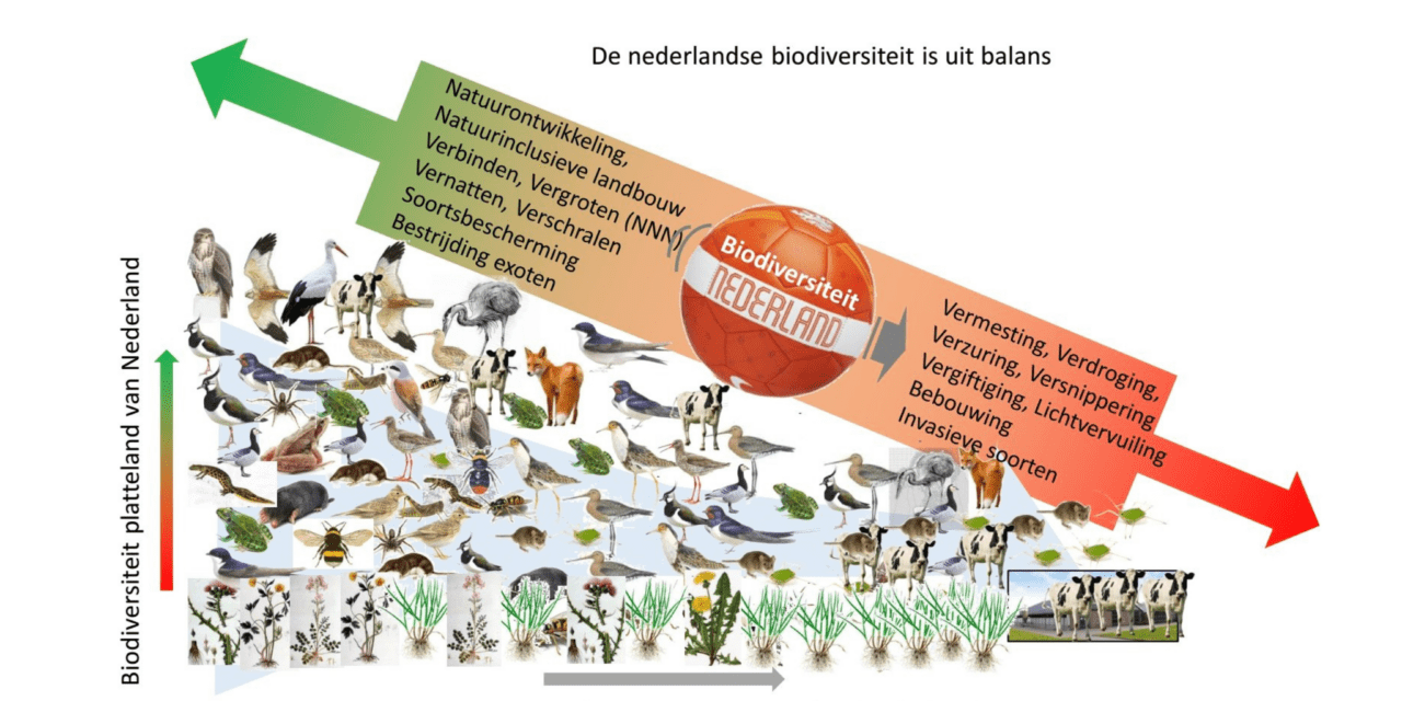 de inschrijvingen voor de biodiversiteitswedstrijd zijn nu geopend. doe mee en draag bij aan het behoud van de natuur en de biodiversiteit!
